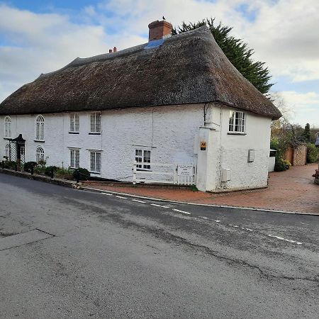 Colyton The White Cottage מראה חיצוני תמונה