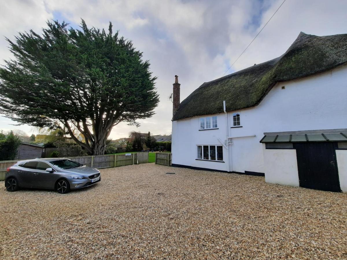 Colyton The White Cottage מראה חיצוני תמונה