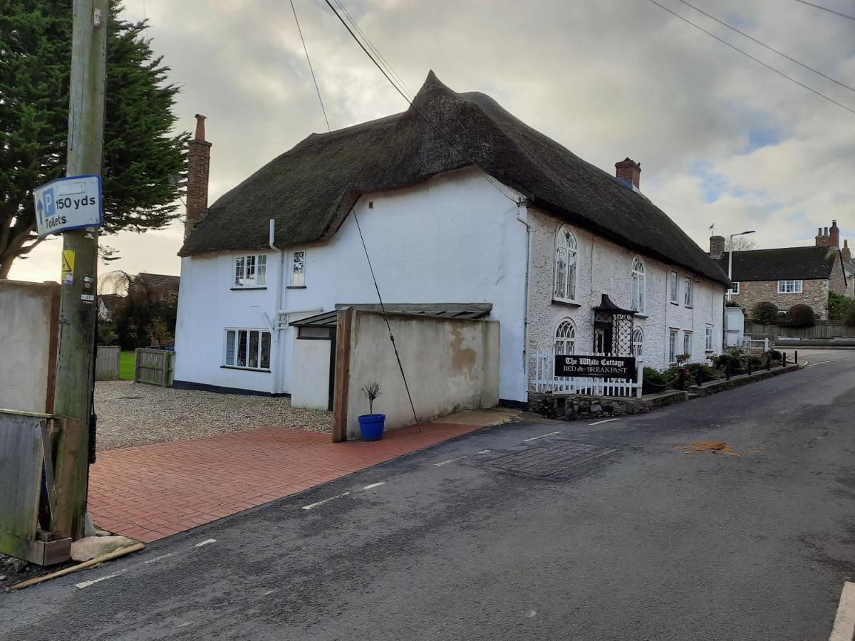 Colyton The White Cottage מראה חיצוני תמונה