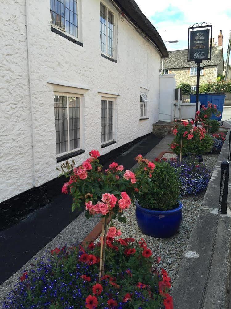 Colyton The White Cottage מראה חיצוני תמונה