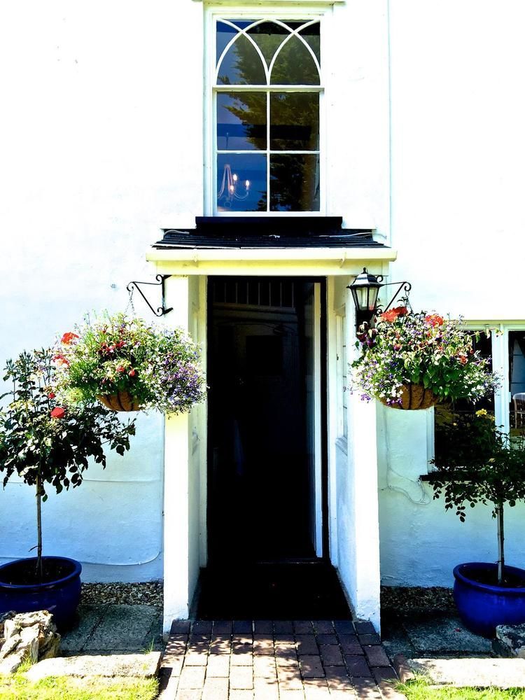 Colyton The White Cottage מראה חיצוני תמונה
